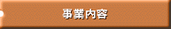 ���Ɠ��e